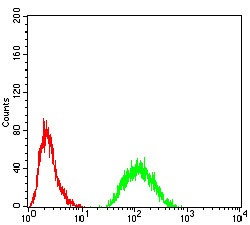 Anti-JARID2 Antibody (7C209)