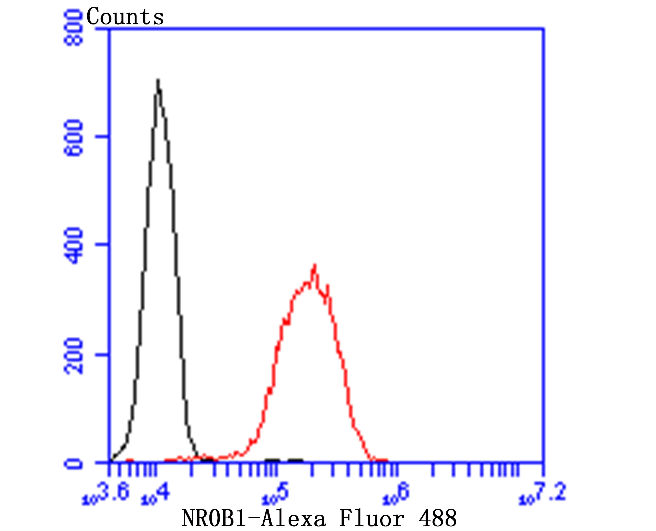 Anti-NR0B1 Antibody (2T380)