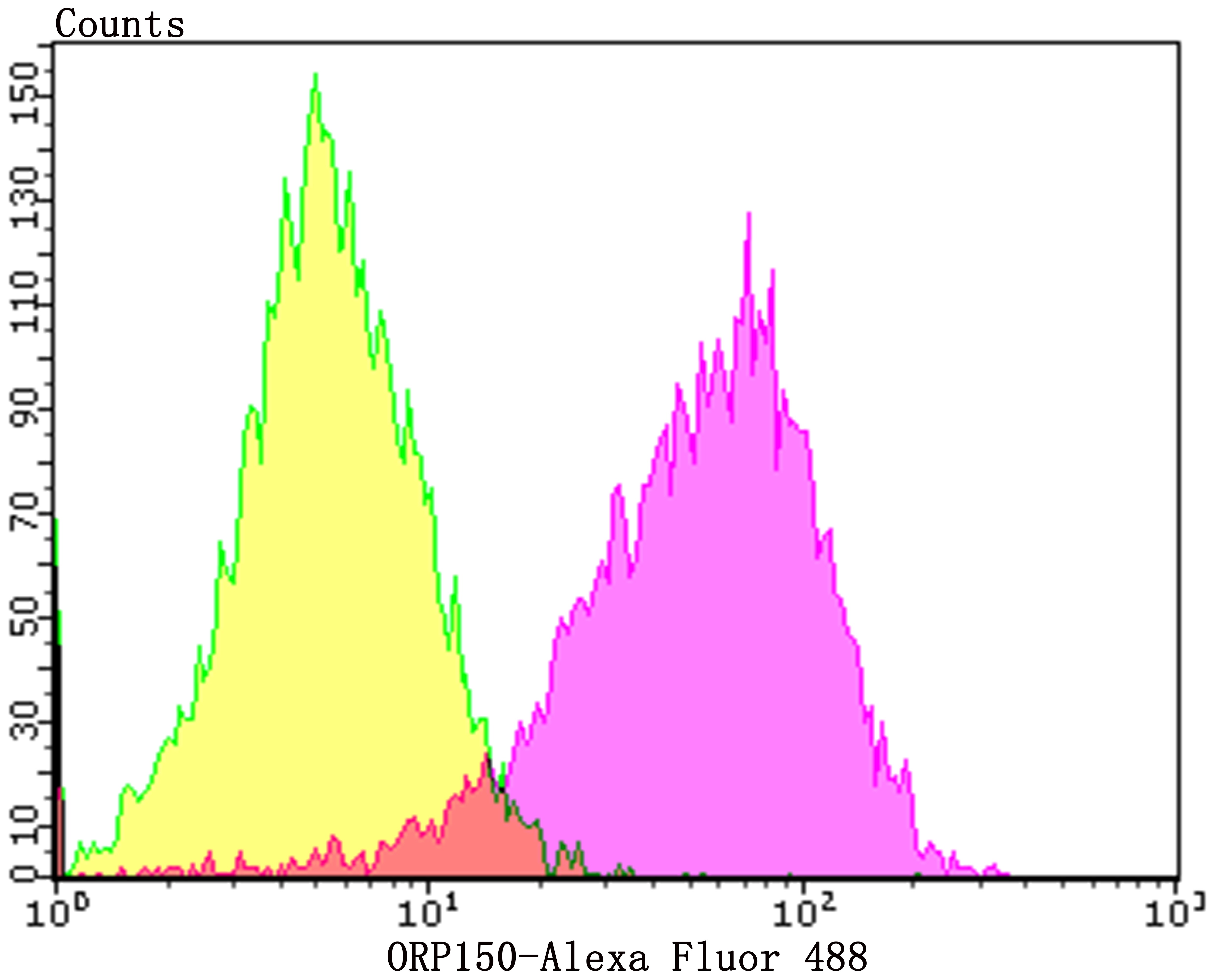 Anti-ORP150 Antibody (6Q346)