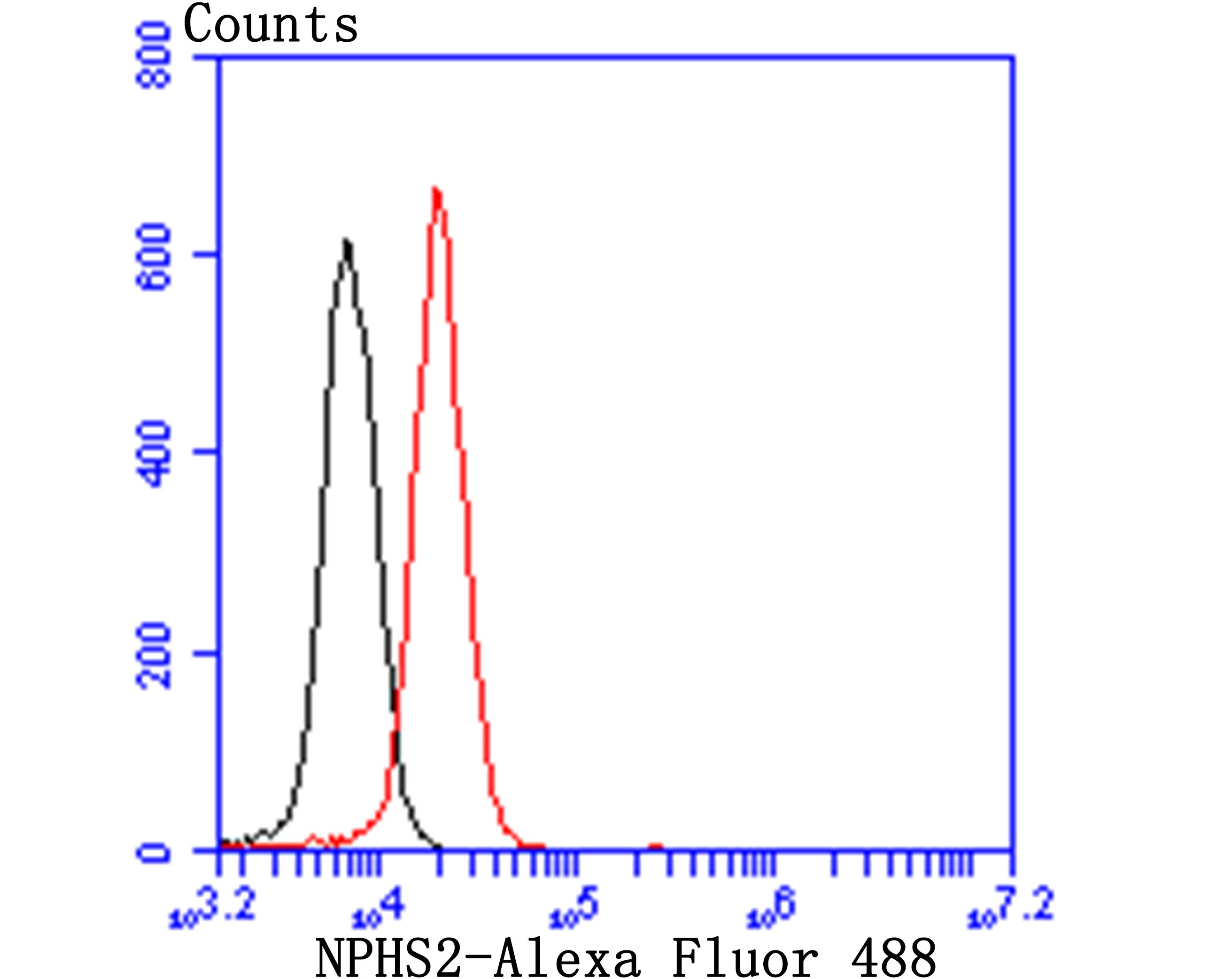 Anti-Podocin Antibody (6Q959)