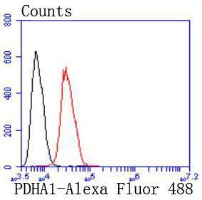 Anti-PDHA1 Antibody (9B780)
