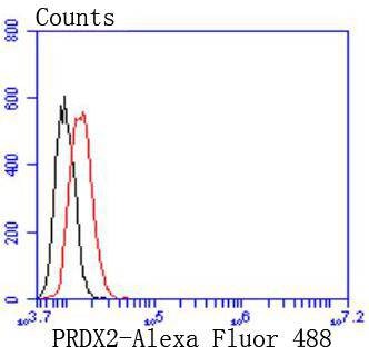 Anti-Peroxiredoxin 2 Antibody (6A598)