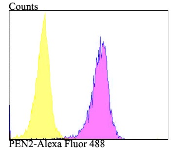 Anti-PSENEN Antibody (3P624)