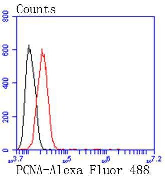 Anti-PCNA Antibody (2C751)