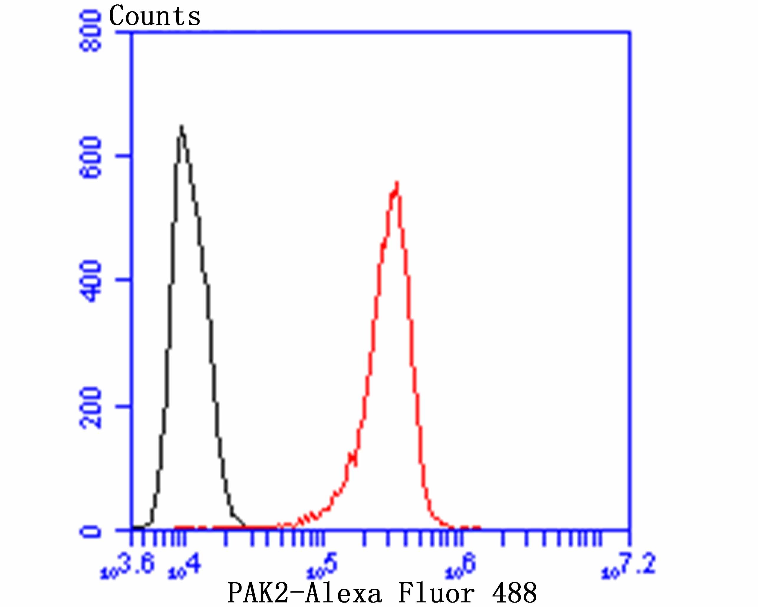 Anti-PAK2 Antibody (7G572)