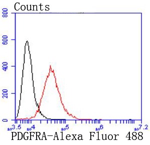 Anti-PDGF R alpha/PDGFRA Antibody (8J71)