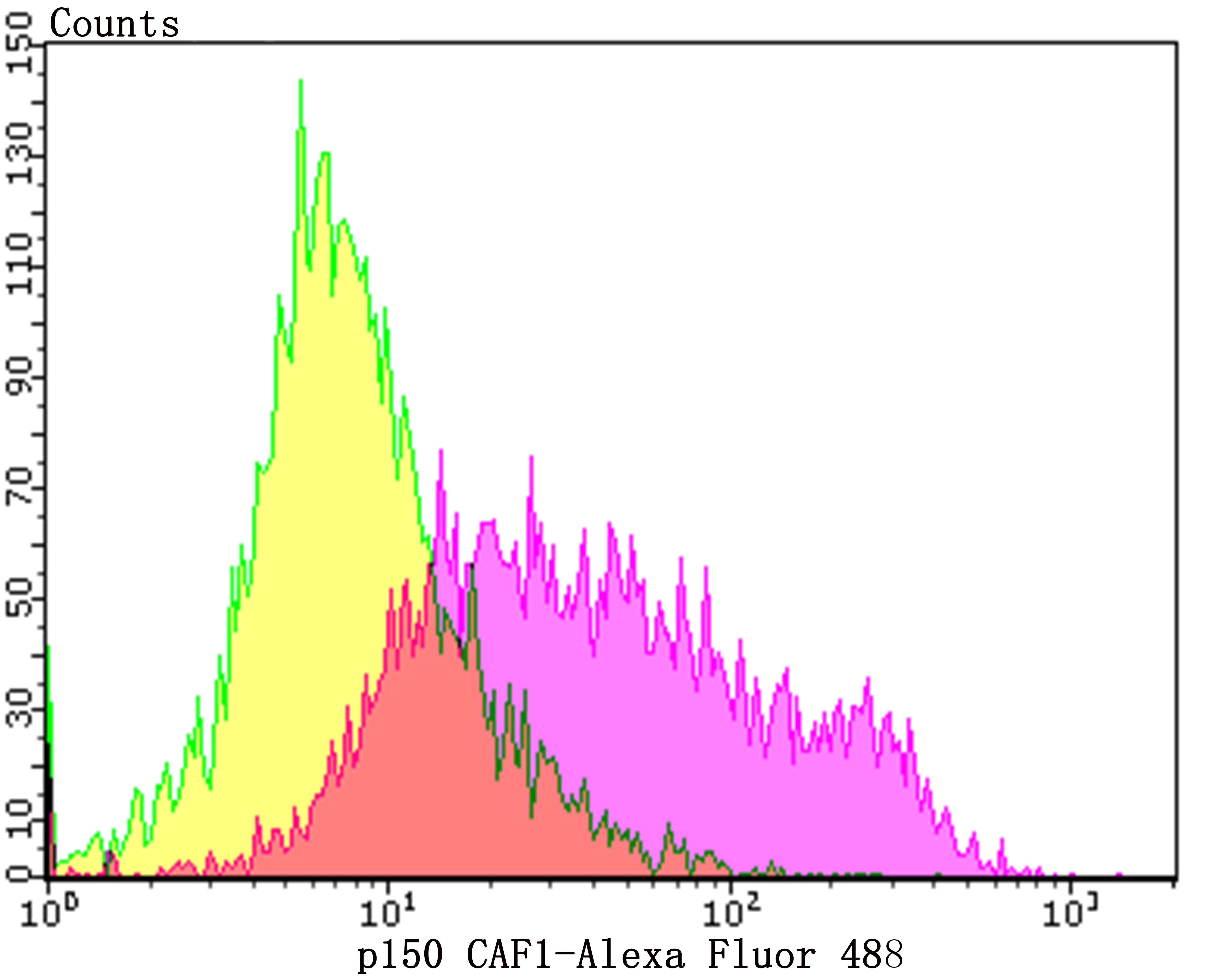 Anti-p150 Antibody (3W818)