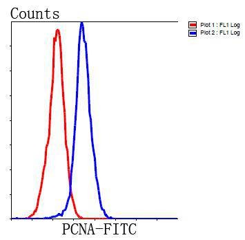 Anti-PCNA Antibody (8X645)