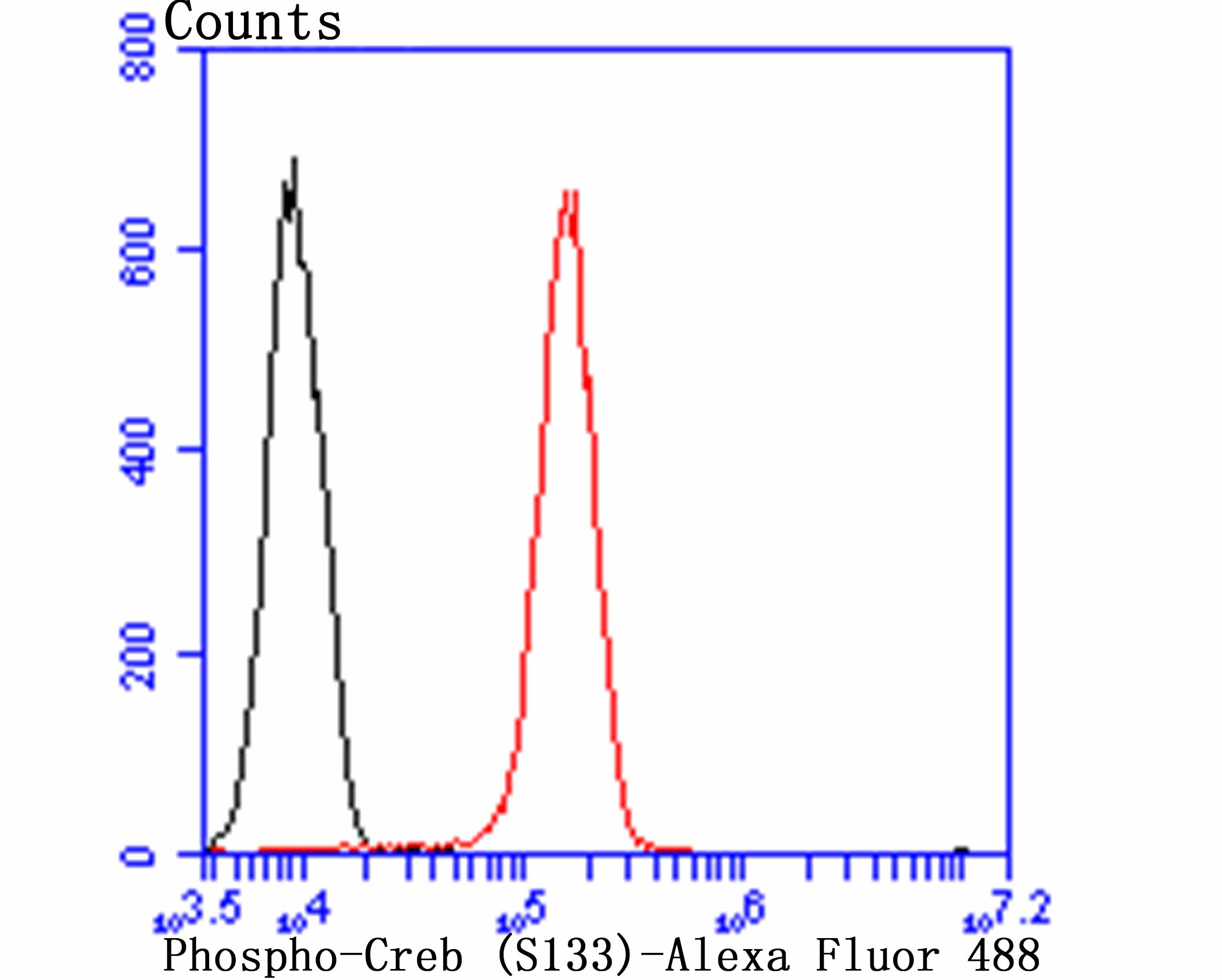 Anti-Phospho-CREB1 (Ser133) Antibody (4I795)