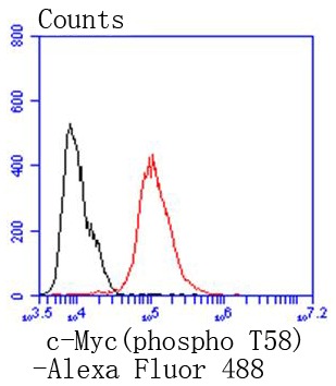 Anti-Phospho-MYC (Thr58) Antibody (7T717)