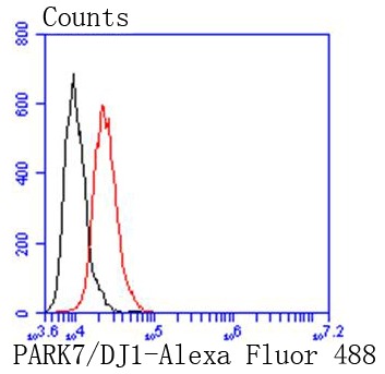 Anti-PARK7/DJ1 Antibody (9Q473)