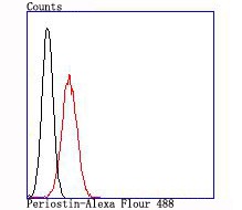 Anti-Periostin/OSF-2 Antibody (5Q795)