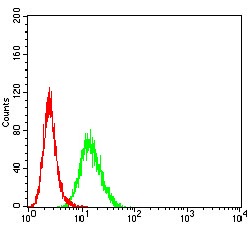 Anti-PCDH9 Antibody (5O723)