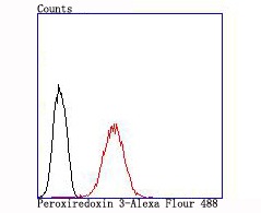 Anti-PRDX3 Antibody (7V569)