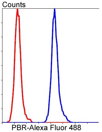 Anti-TSPO Antibody (9Y314)