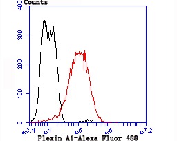 Anti-PLXNA1 Antibody (5L971)