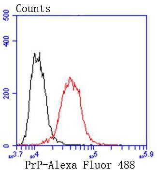 Anti-PRNP/Prion Antibody (2B223)