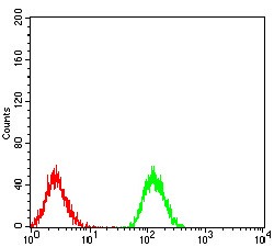 Anti-PLCγ1 Antibody (8G514)