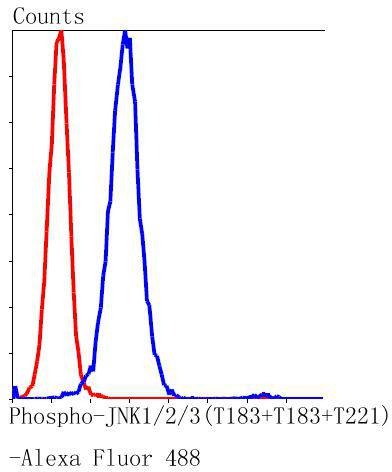 Anti-Phospho-JNK1/2/MAPK10 (Thr183/183/221) Antibody (7N200)