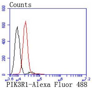 Anti-PIK3R1 Antibody (9O121)
