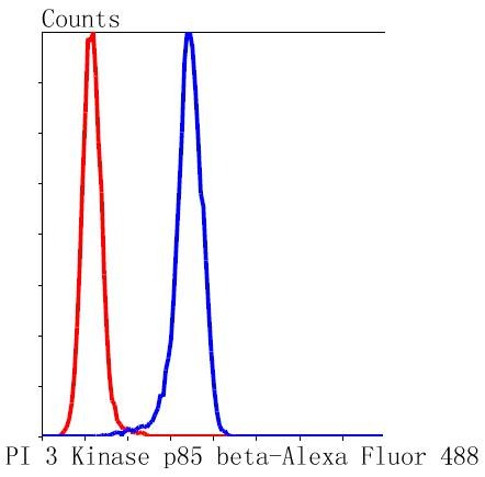 Anti-PI 3 Kinase p85 beta Antibody (9A867)