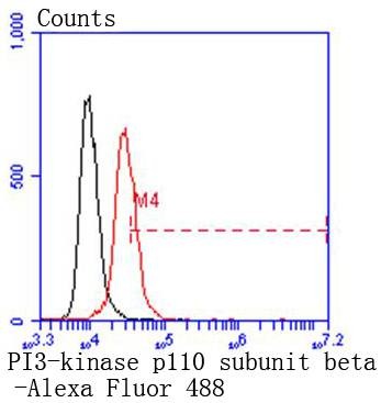 Anti-PIK3CB Antibody (1D133)