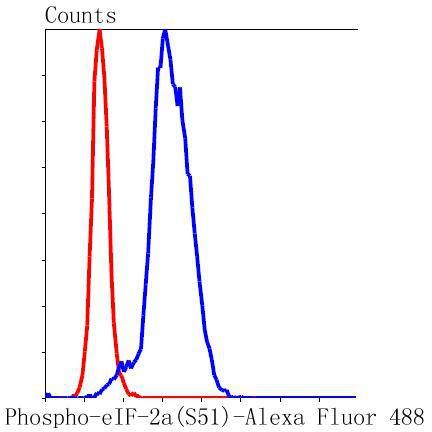 Anti-Phospho-eIF2α (Ser51) Antibody (1F908)