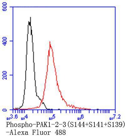Anti-Phospho-PAK1/2/3 (Ser139) Antibody (4F435)