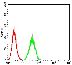 Anti-PTPN14 Antibody (8D656)