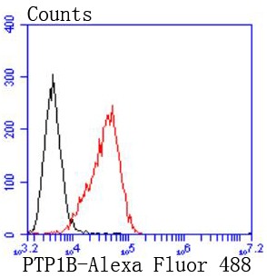 Anti-PTP1B Antibody (4L780)