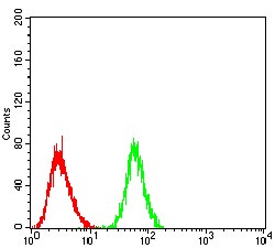 Anti-PRDM1 Antibody (4L235)