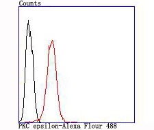 Anti-PKCE Antibody (5H978)