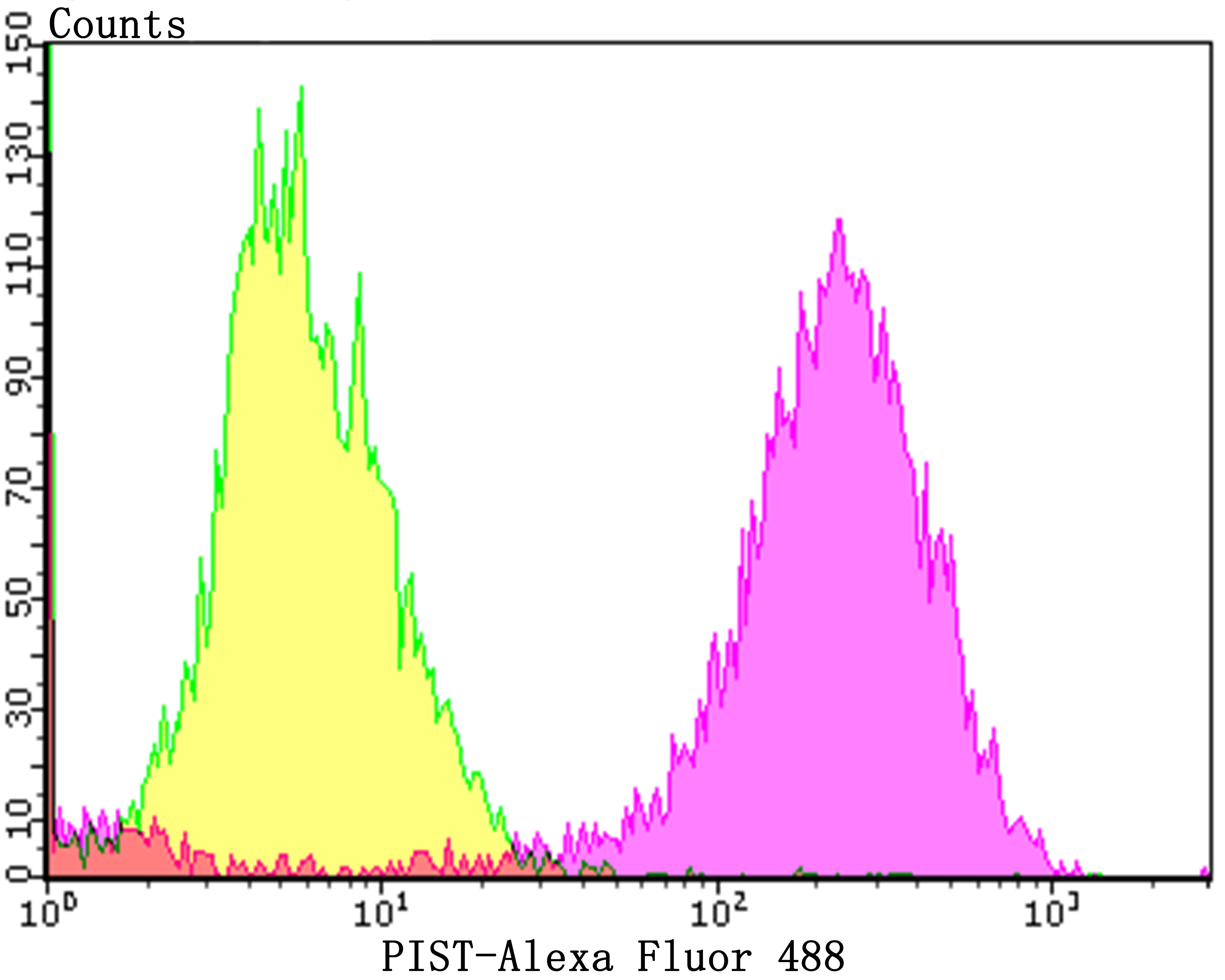 Anti-PIST Antibody (5T628)
