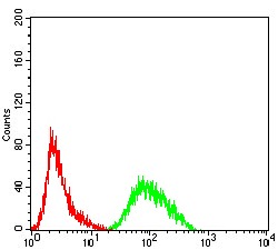 Anti-PRDM4 Antibody (8D792)