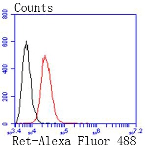Anti-RET Antibody (8T974)