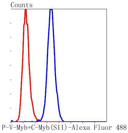 Anti-MYB Antibody (7C786)