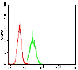 Anti-PKHD1 Antibody (4M854)
