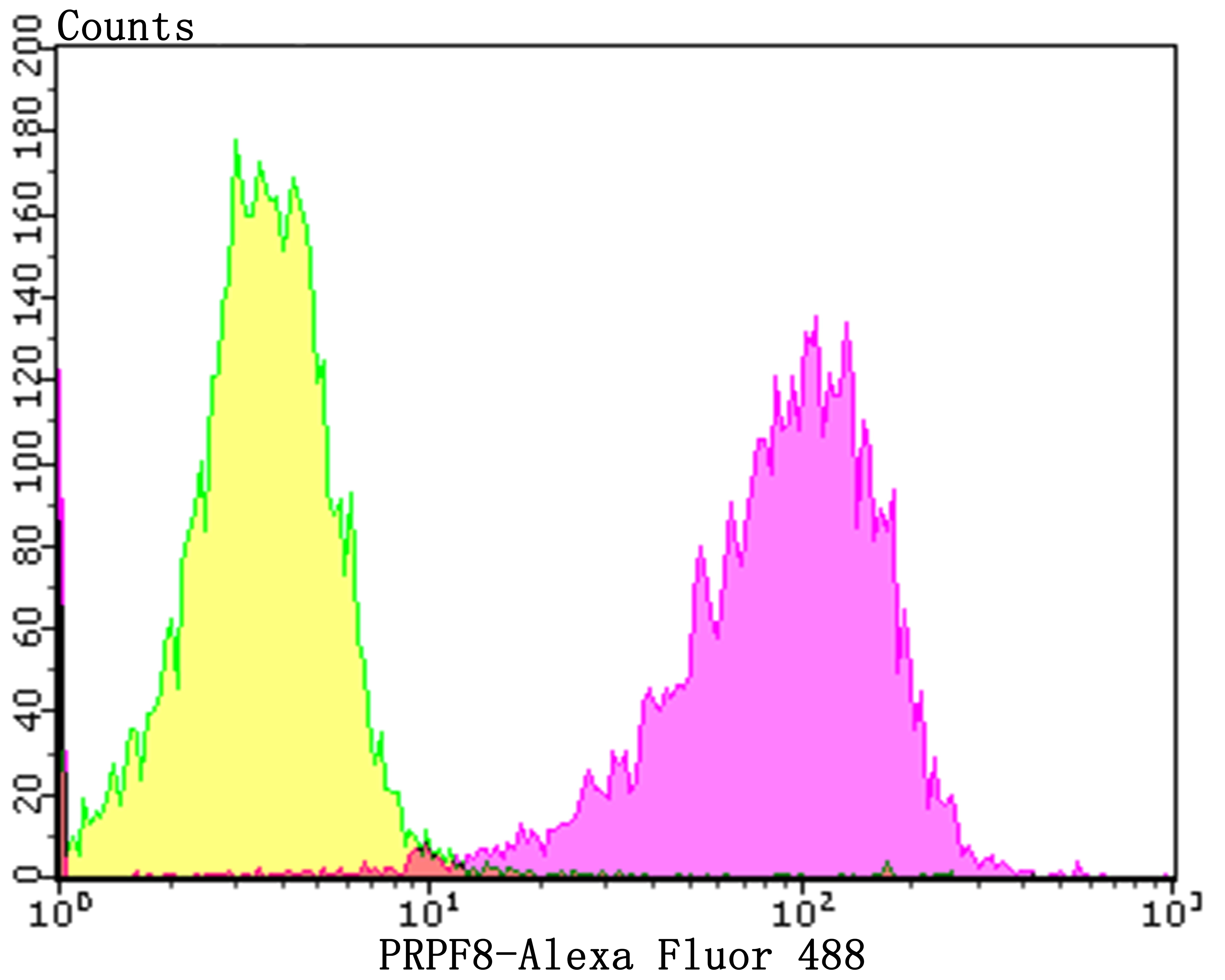 Anti-PRPF8 Antibody (4V102)