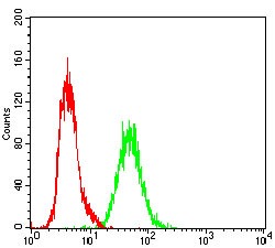 Anti-RAP1GAP Antibody (4C780)