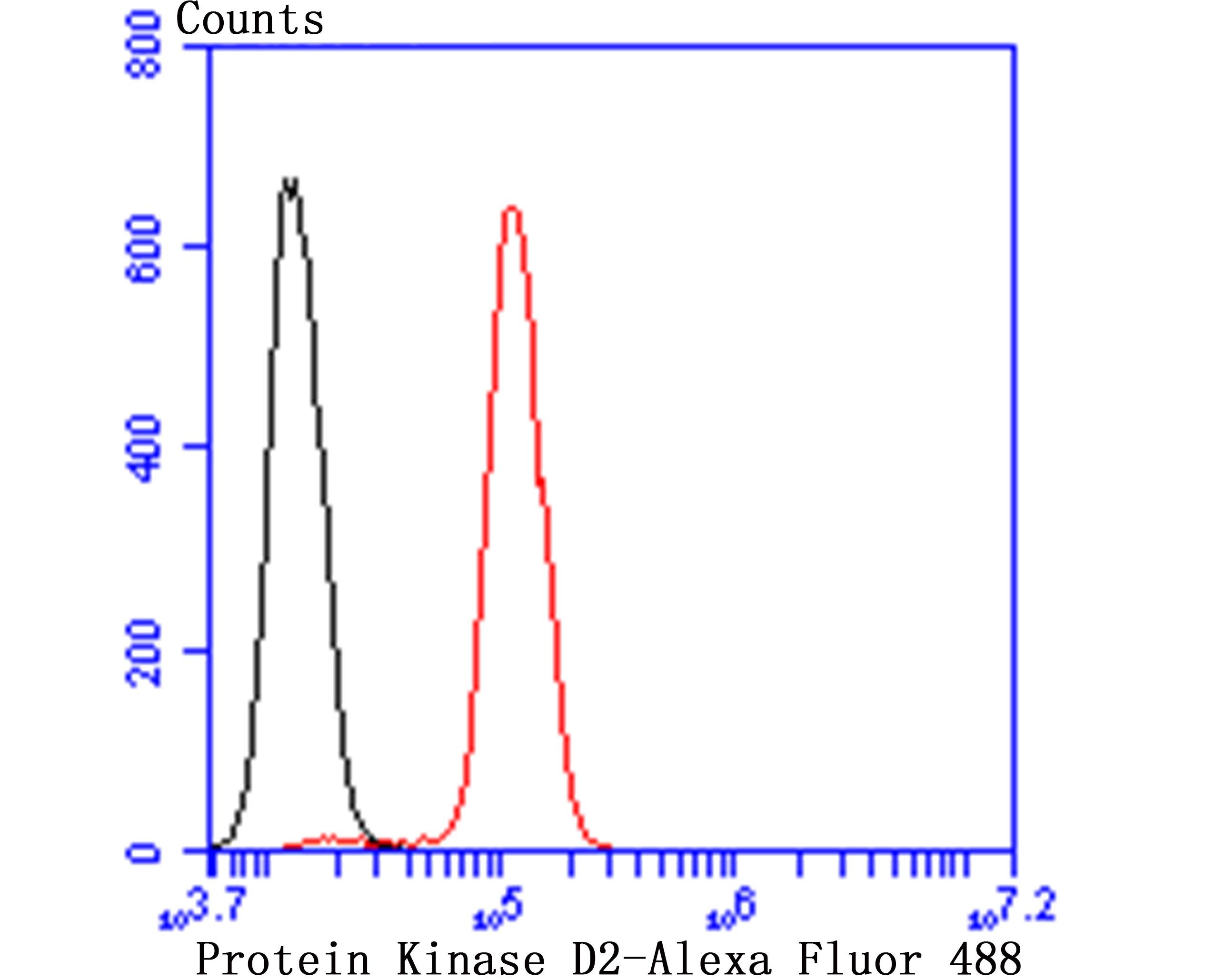 Anti-Protein Kinase D2/PRKD2 Antibody (5O381)