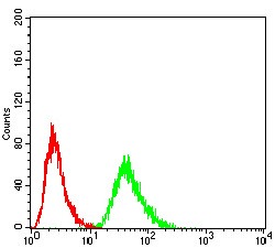 Anti-RF1 Antibody (8B803)