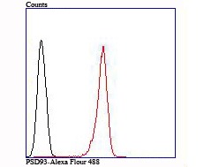Anti-PSD93 Antibody (5I700)