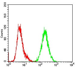 Anti-Shc Antibody (2E265)