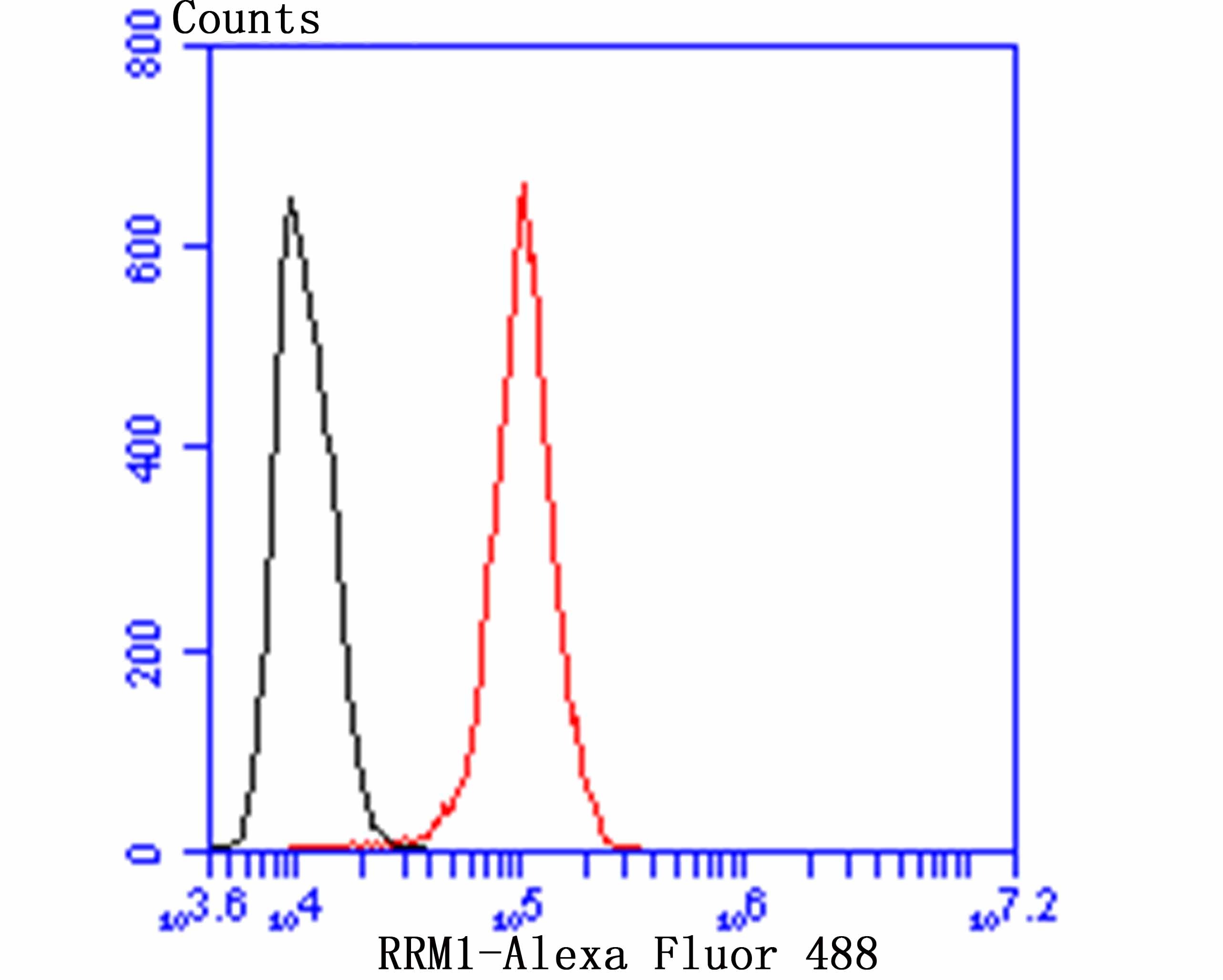 Anti-RRM1 Antibody (6Z102)