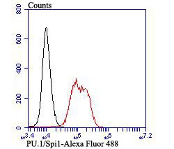Anti-SPI1 Antibody (2J454)