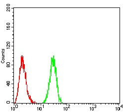 Anti-Rab3a Antibody (7O574)