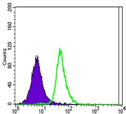 Anti-SLC22A1 Antibody (6Q395)