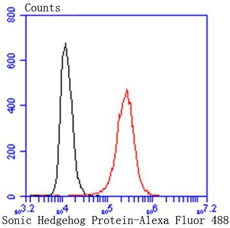 Anti-SHH Antibody (8Q785)