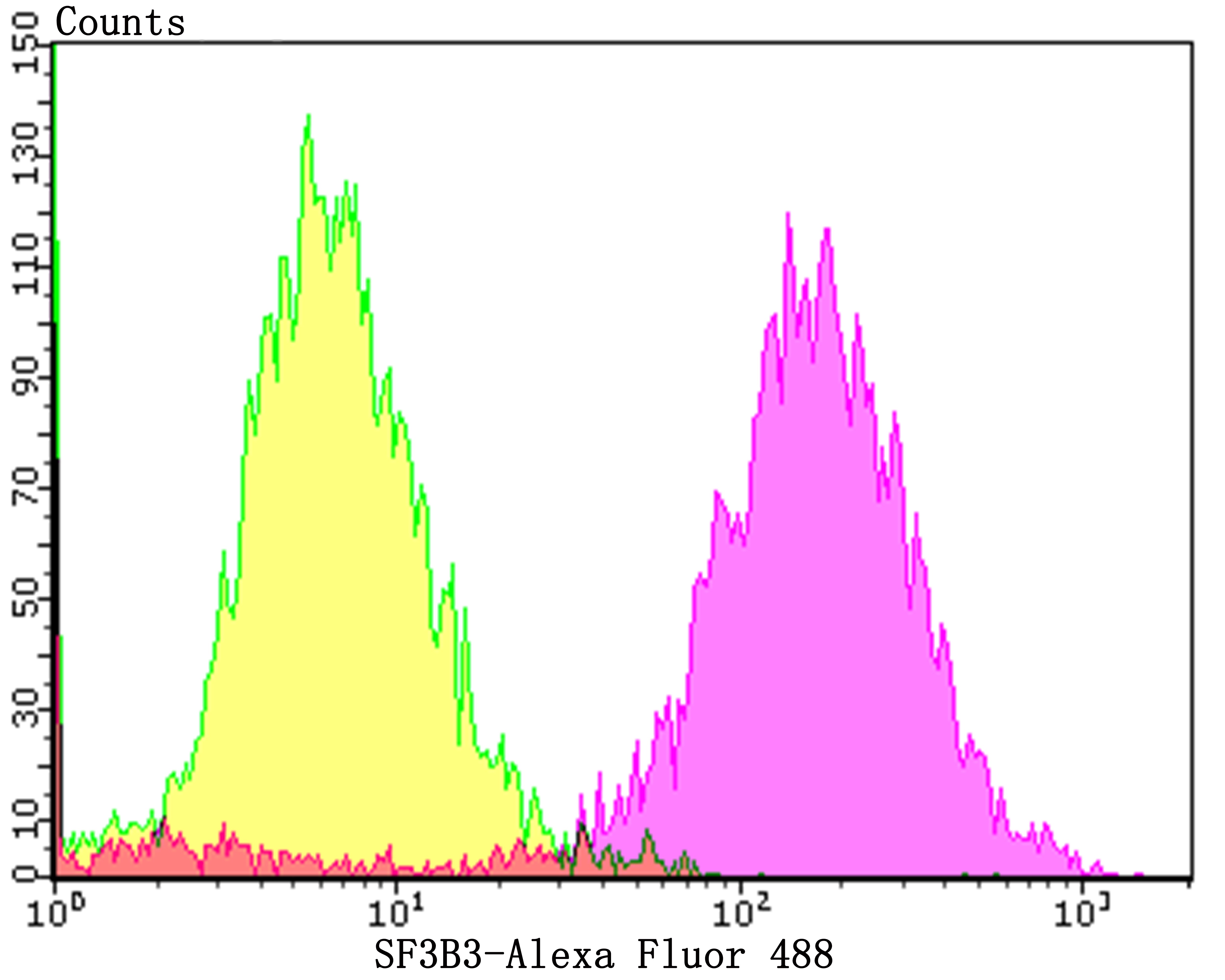 Anti-SF3B3 Antibody (4H951)