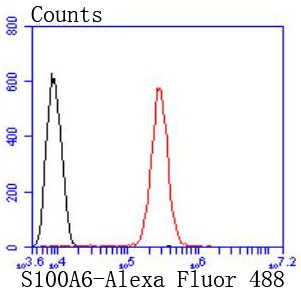 Anti-S100A6 Antibody (9N771)